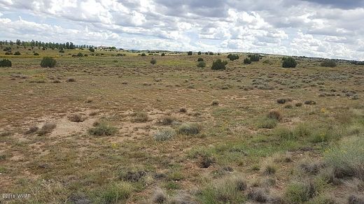 2.7 Acres of Residential Land for Sale in Taylor, Arizona