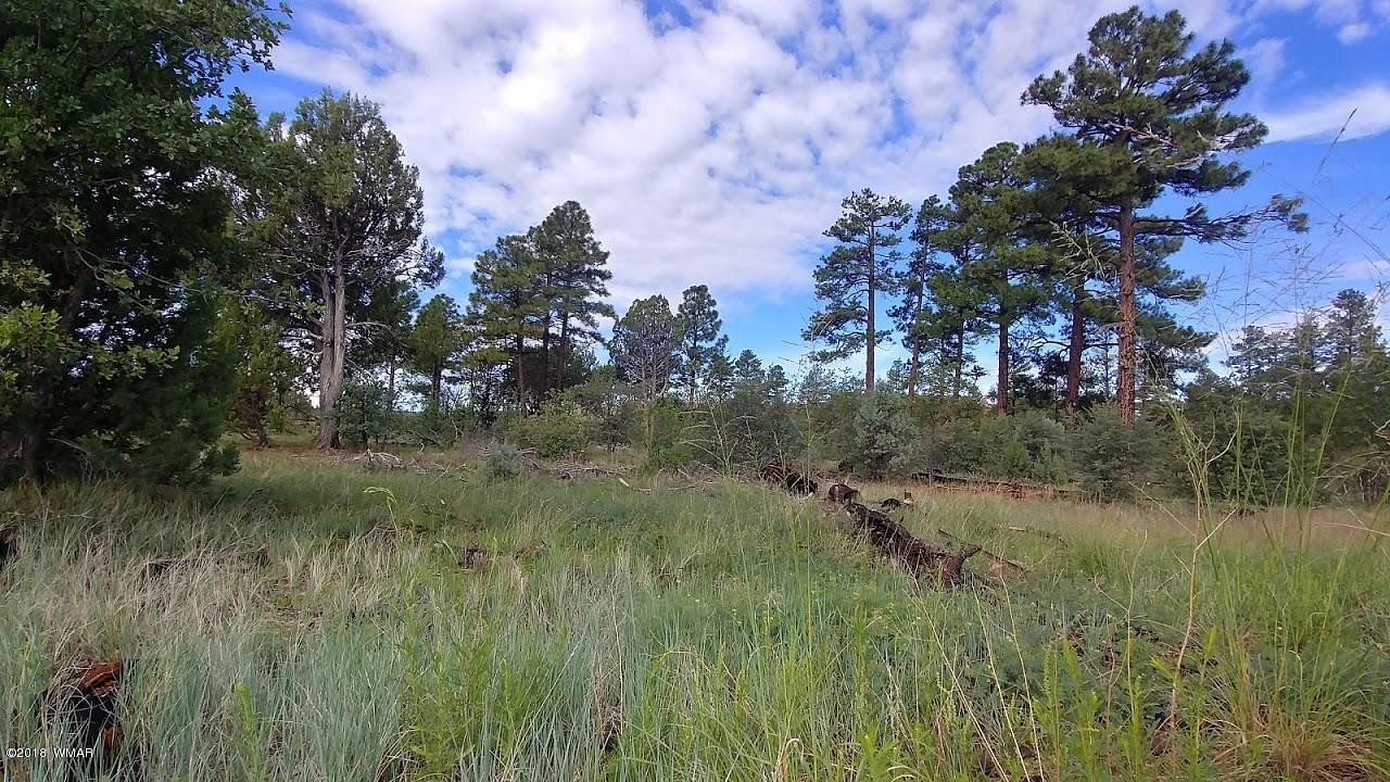 0.8 Acres of Residential Land for Sale in Clay Springs, Arizona
