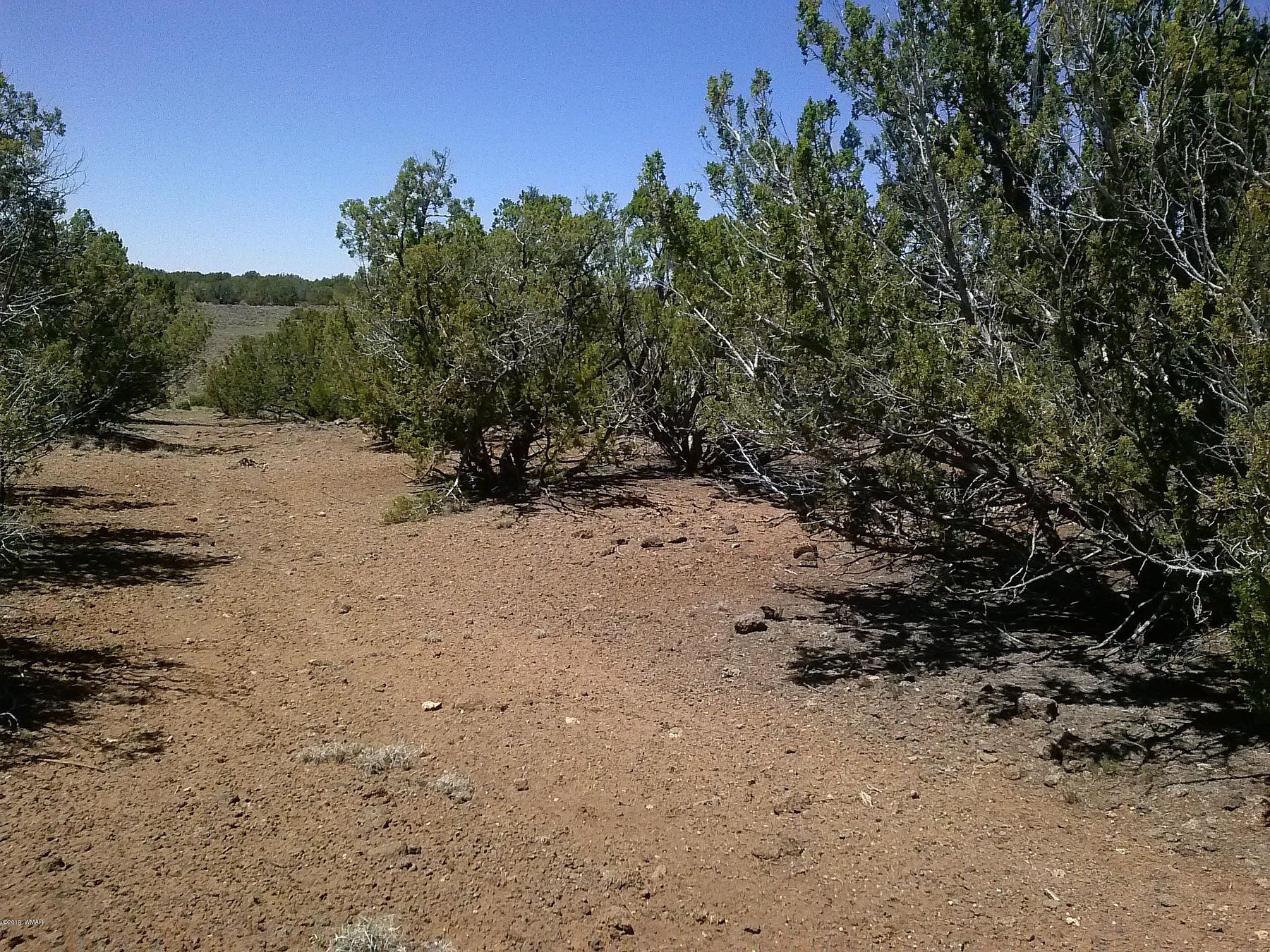 3.7 Acres of Residential Land for Sale in Concho, Arizona