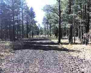 5.5 Acres of Residential Land for Sale in Lakeside, Arizona