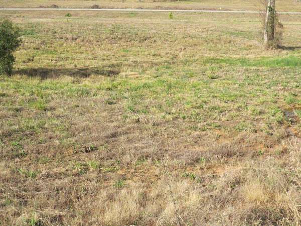 2.25 Acres of Residential Land for Sale in Ellisville, Mississippi