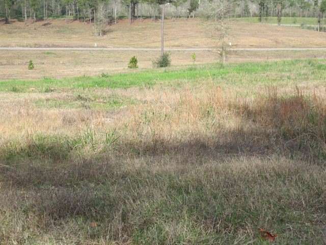 2 Acres of Residential Land for Sale in Ellisville, Mississippi