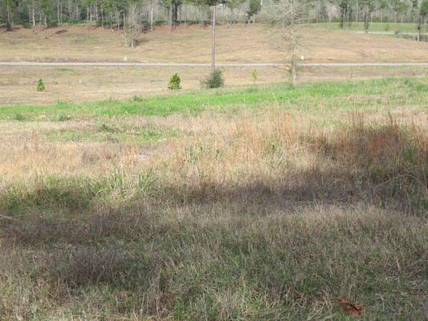 2 Acres of Residential Land for Sale in Ellisville, Mississippi
