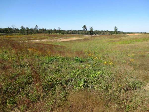 1.76 Acres of Residential Land for Sale in Ellisville, Mississippi