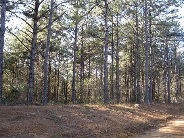 1.53 Acres of Residential Land for Sale in Ellisville, Mississippi