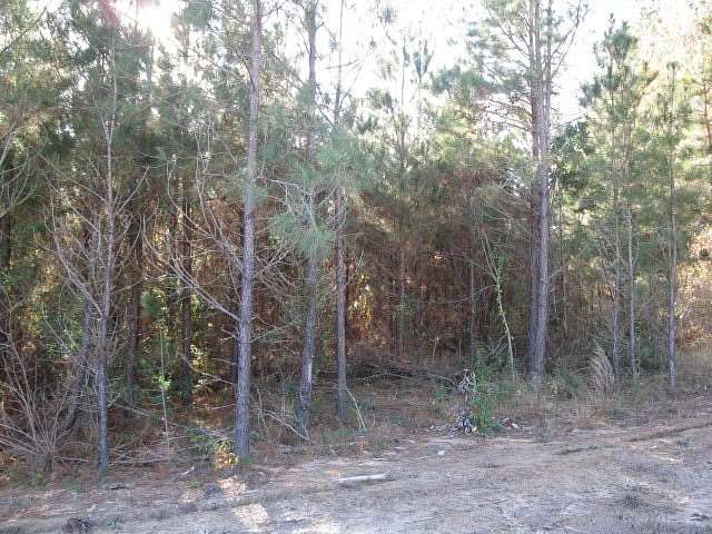 1.59 Acres of Residential Land for Sale in Ellisville, Mississippi