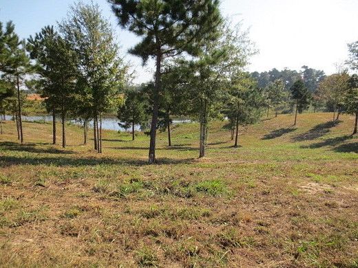 1.5 Acres of Residential Land for Sale in Ellisville, Mississippi