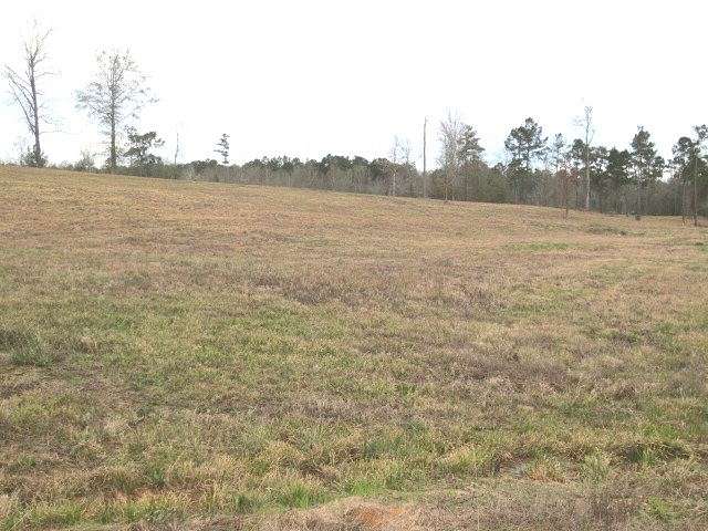 2.5 Acres of Residential Land for Sale in Ellisville, Mississippi