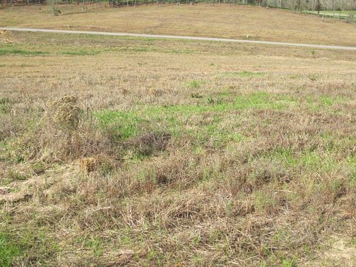 2.19 Acres of Residential Land for Sale in Ellisville, Mississippi