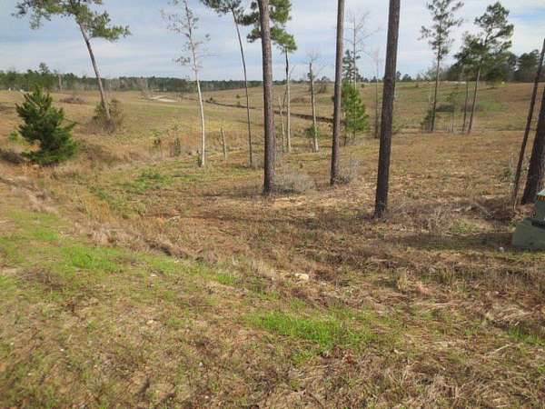 1 Acre of Residential Land for Sale in Ellisville, Mississippi