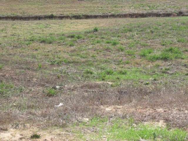 1.49 Acres of Residential Land for Sale in Ellisville, Mississippi