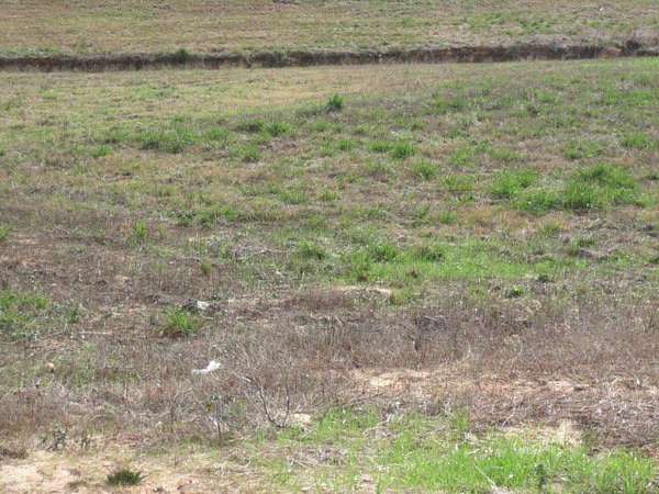 1.49 Acres of Residential Land for Sale in Ellisville, Mississippi
