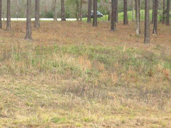 1.78 Acres of Residential Land for Sale in Ellisville, Mississippi