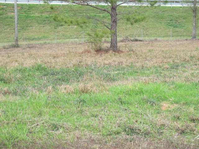1.13 Acres of Residential Land for Sale in Ellisville, Mississippi