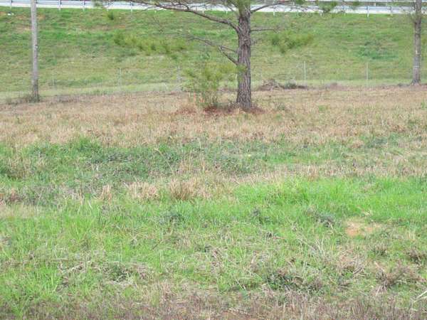 1.13 Acres of Residential Land for Sale in Ellisville, Mississippi