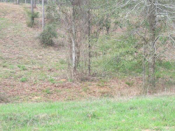 1.34 Acres of Residential Land for Sale in Ellisville, Mississippi