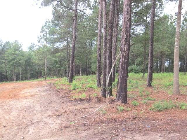 2.6 Acres of Residential Land for Sale in Ellisville, Mississippi