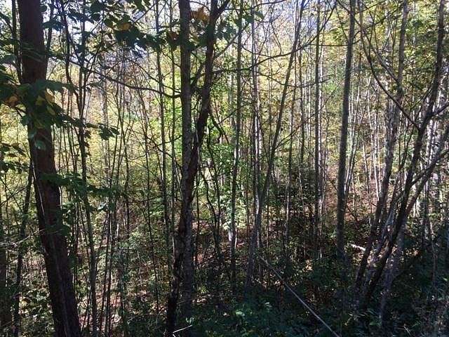 0.84 Acres of Land for Sale in Sylva, North Carolina