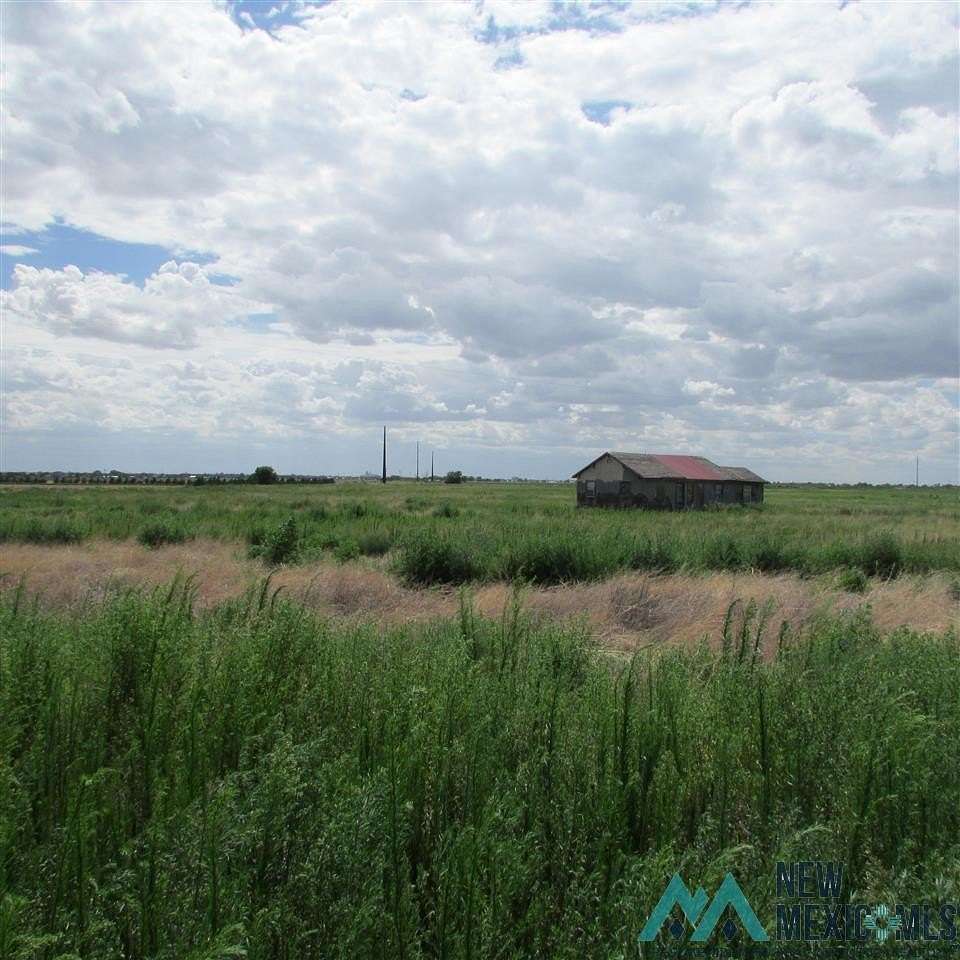 35.5 Acres of Land for Sale in Portales, New Mexico
