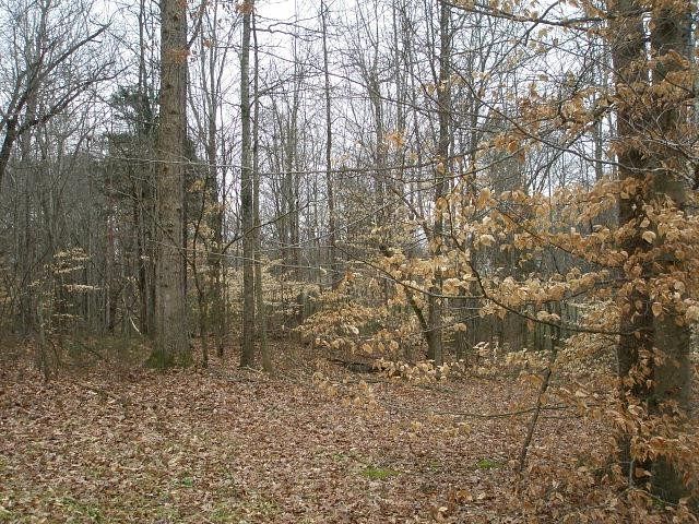 0.46 Acres of Residential Land for Sale in Cookeville, Tennessee