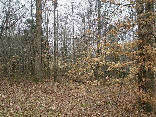 0.458 Acres of Residential Land for Sale in Cookeville, Tennessee