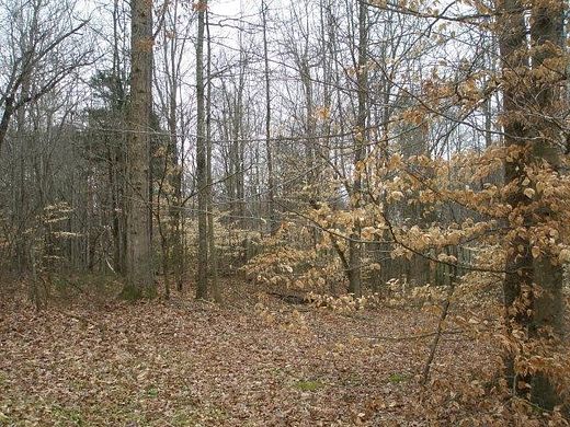 0.43 Acres of Residential Land for Sale in Cookeville, Tennessee