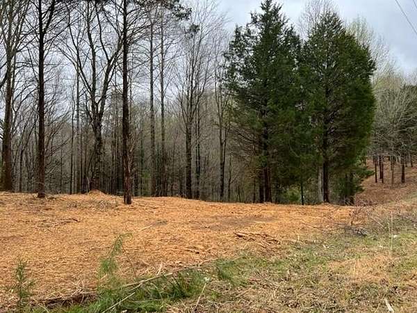1.76 Acres of Residential Land for Sale in Allons, Tennessee