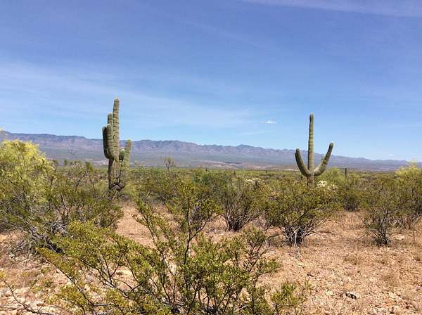 40.3 Acres of Recreational Land for Sale in San Manuel, Arizona