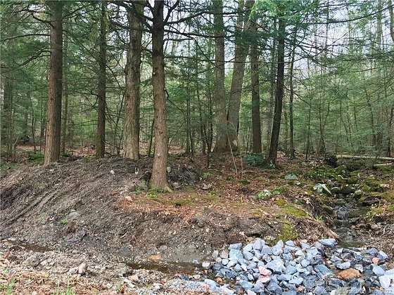 51 Acres of Recreational Land for Sale in Winchester Town, Connecticut