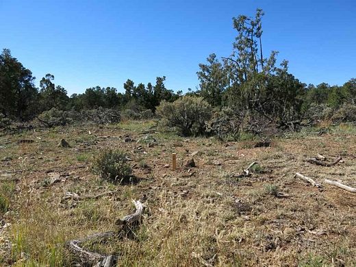 40 Acres of Land for Sale in Tres Piedras, New Mexico
