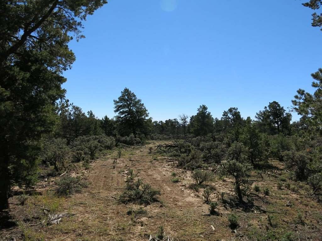 40 Acres of Land for Sale in Tres Piedras, New Mexico