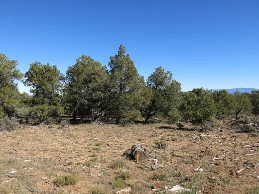 40 Acres of Recreational Land for Sale in Tres Piedras, New Mexico