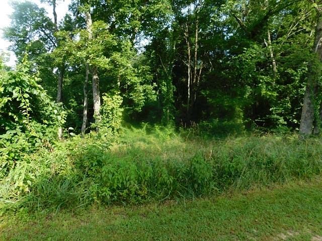 2.8 Acres of Residential Land for Sale in Chesapeake, Ohio