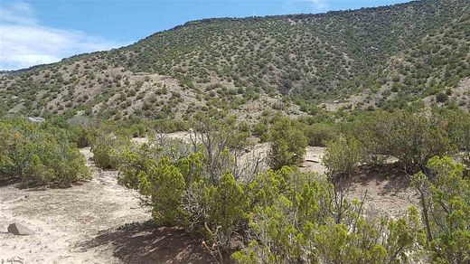 10 Acres of Residential Land for Sale in Ojo Caliente, New Mexico