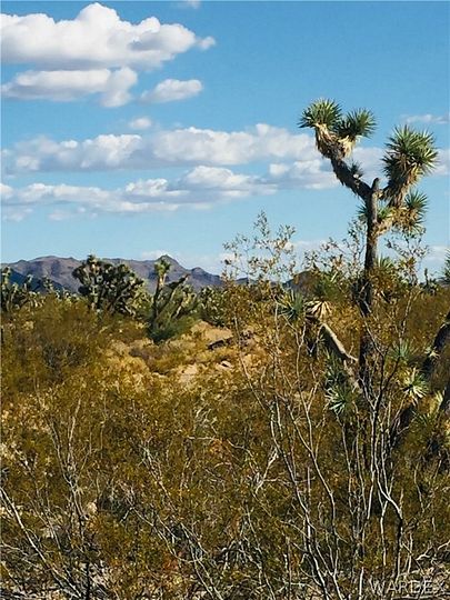 39.7 Acres of Agricultural Land for Sale in Yucca, Arizona