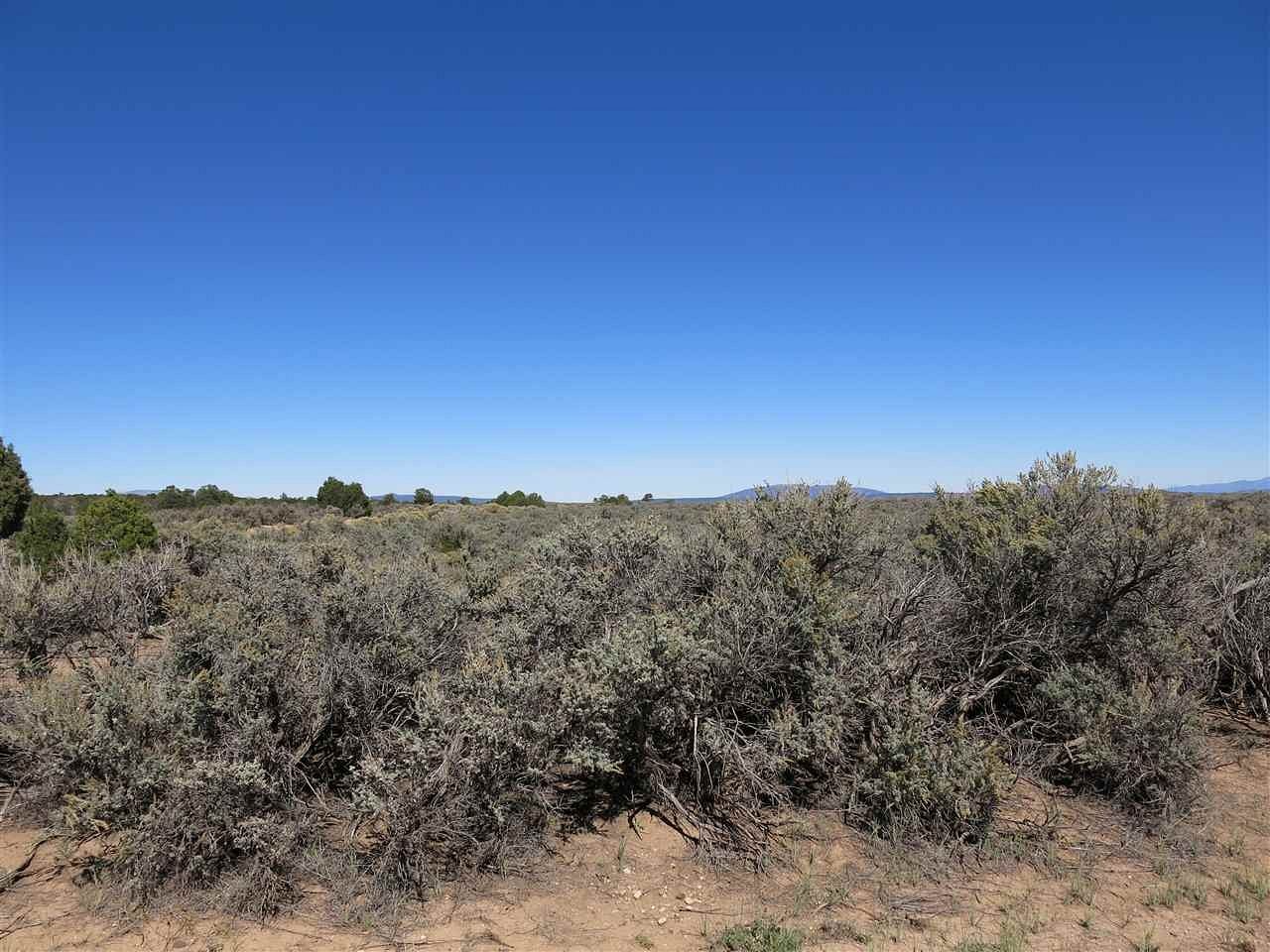 40 Acres of Land for Sale in Taos, New Mexico