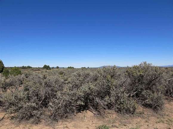 40 Acres of Recreational Land for Sale in Taos, New Mexico