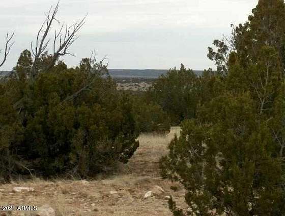 38.1 Acres of Land for Sale in Heber, Arizona