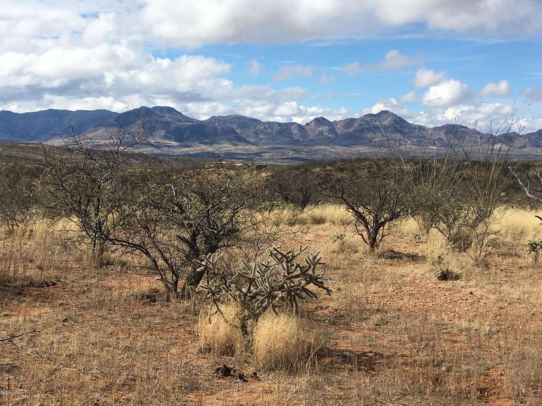40.6 Acres of Agricultural Land for Sale in Tubac, Arizona