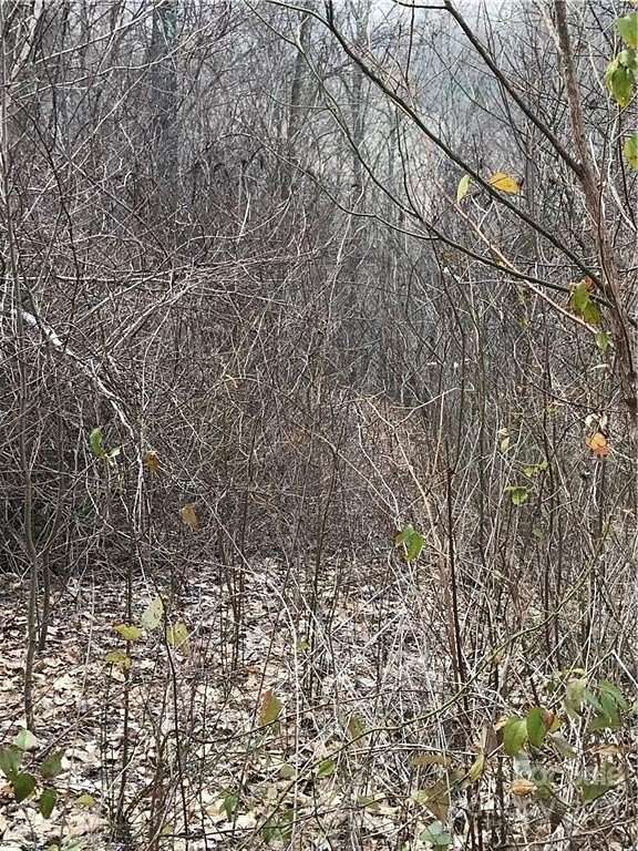 1.28 Acres of Residential Land for Sale in Whittier, North Carolina