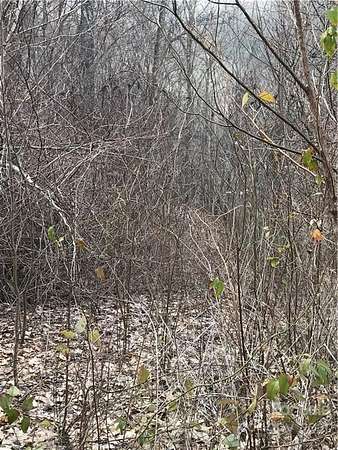 1.28 Acres of Residential Land for Sale in Whittier, North Carolina