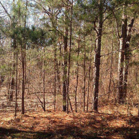 2.6 Acres of Residential Land for Sale in Lizella, Georgia