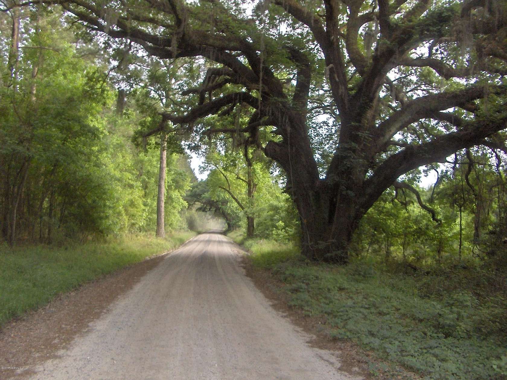 11 Acres of Improved Land for Sale in Ridgeland, South Carolina