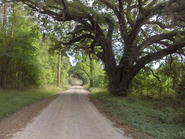 11 Acres of Improved Land for Sale in Ridgeland, South Carolina