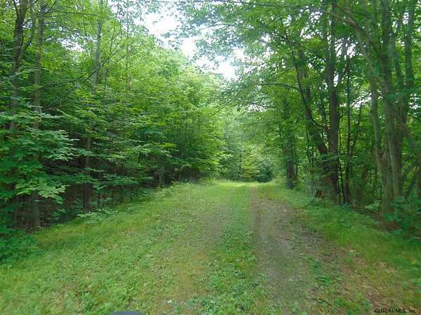 84 Acres of Recreational Land for Sale in Gilboa, New York