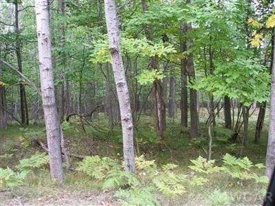0.32 Acres of Residential Land for Sale in Canadian Lakes, Michigan
