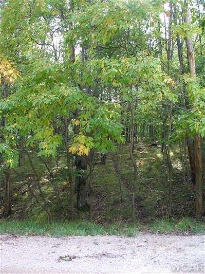 0.32 Acres of Residential Land for Sale in Canadian Lakes, Michigan