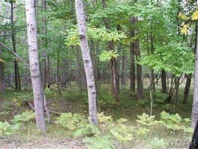 0.32 Acres of Land for Sale in Canadian Lakes, Michigan