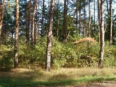 0.34 Acres of Land for Sale in Canadian Lakes, Michigan