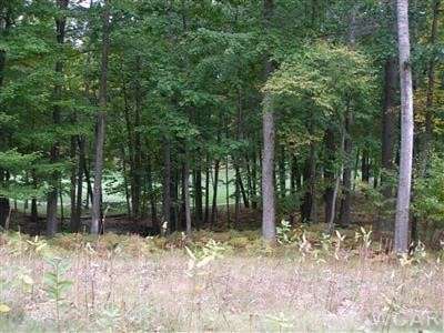 0.61 Acres of Residential Land for Sale in Canadian Lakes, Michigan